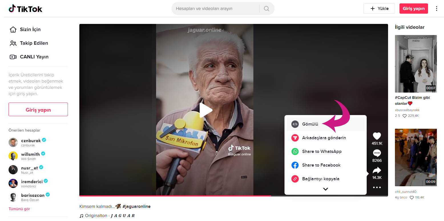 Tiktok Videolarını Web Siteme Nasıl Eklerim?
